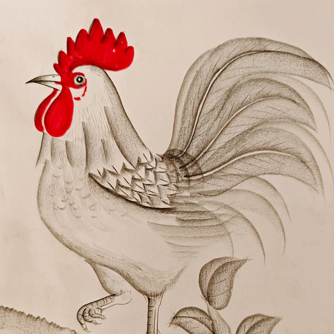 原色美育周老师