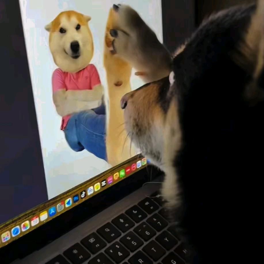 我的🐂🐂会发光