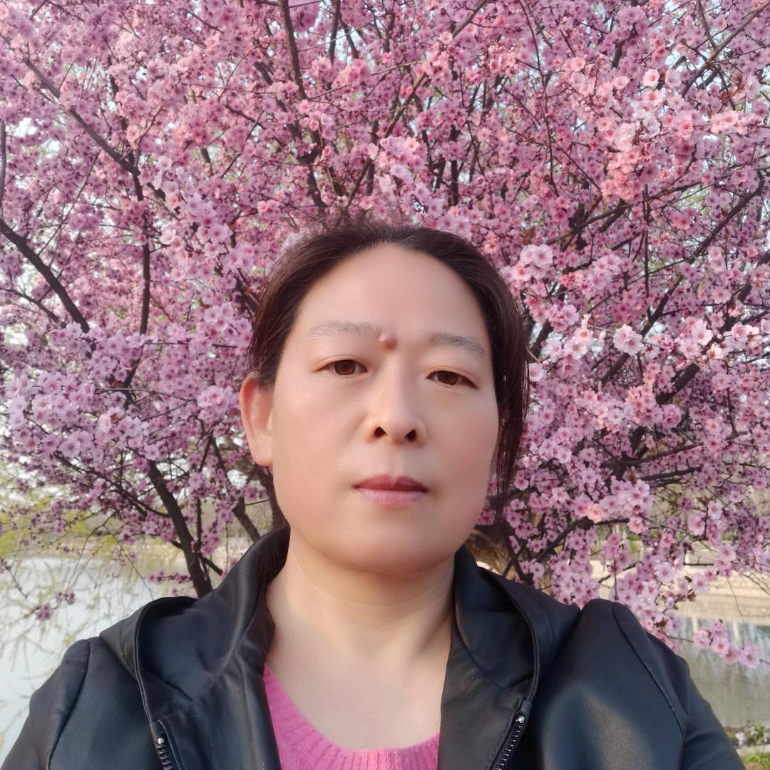 盈盈来了（首播）