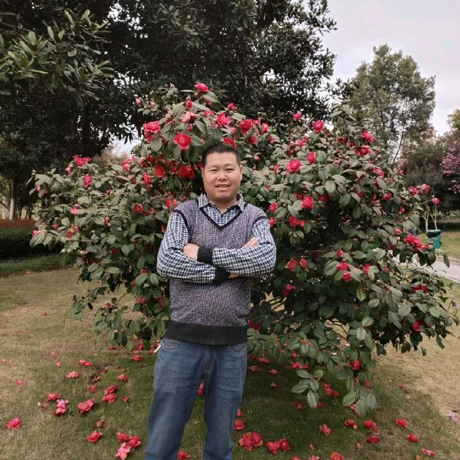 乌拉子