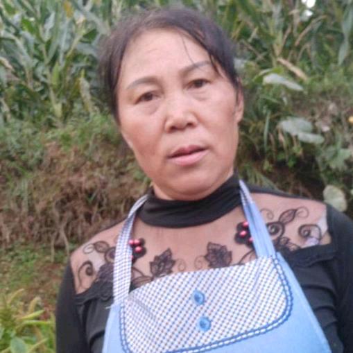 迟二姐2