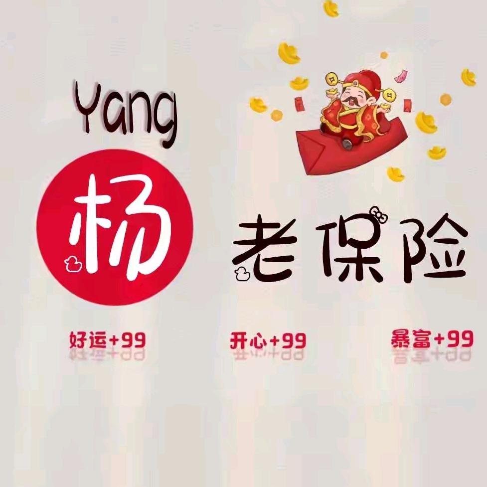 yang老保险