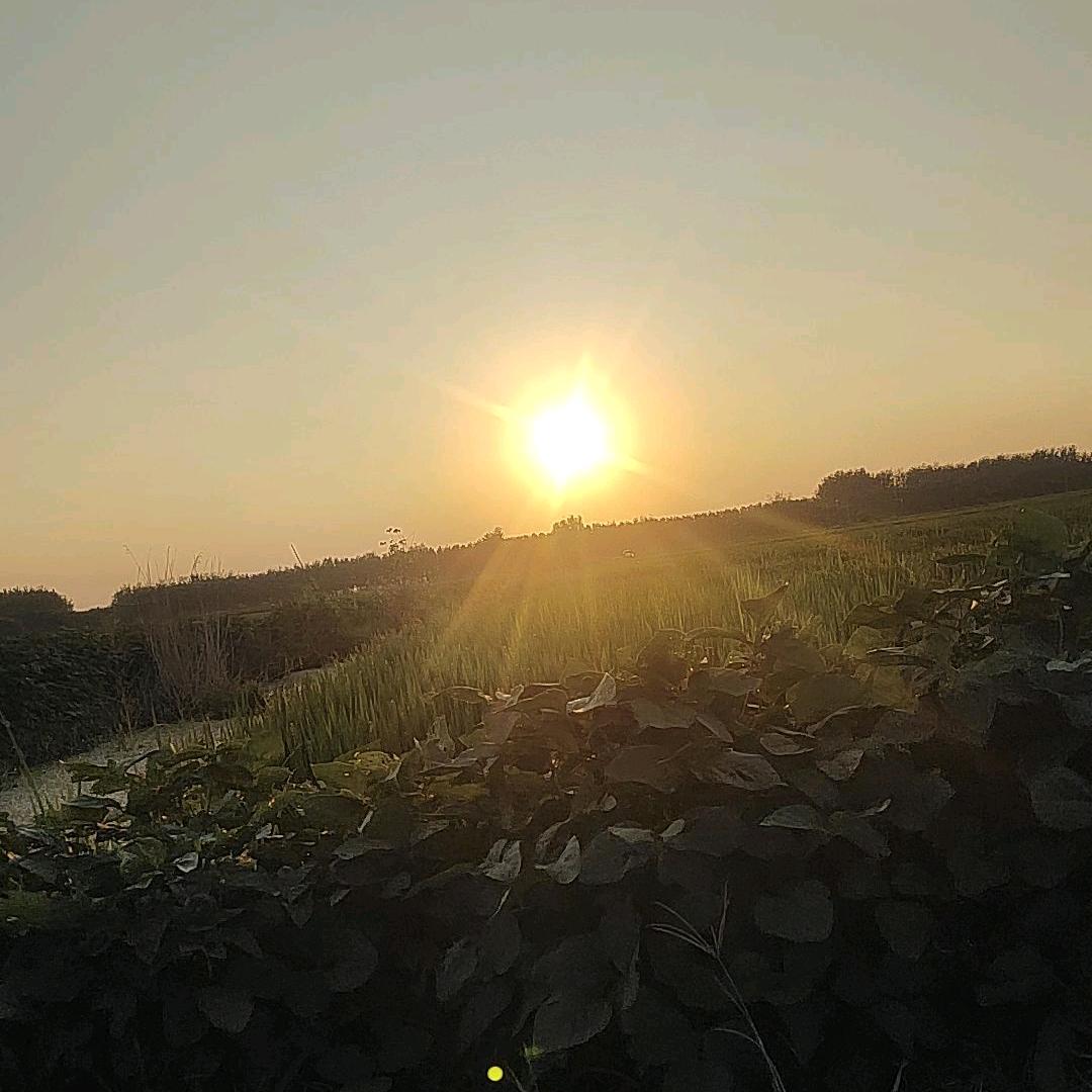 ☞木木夕☜