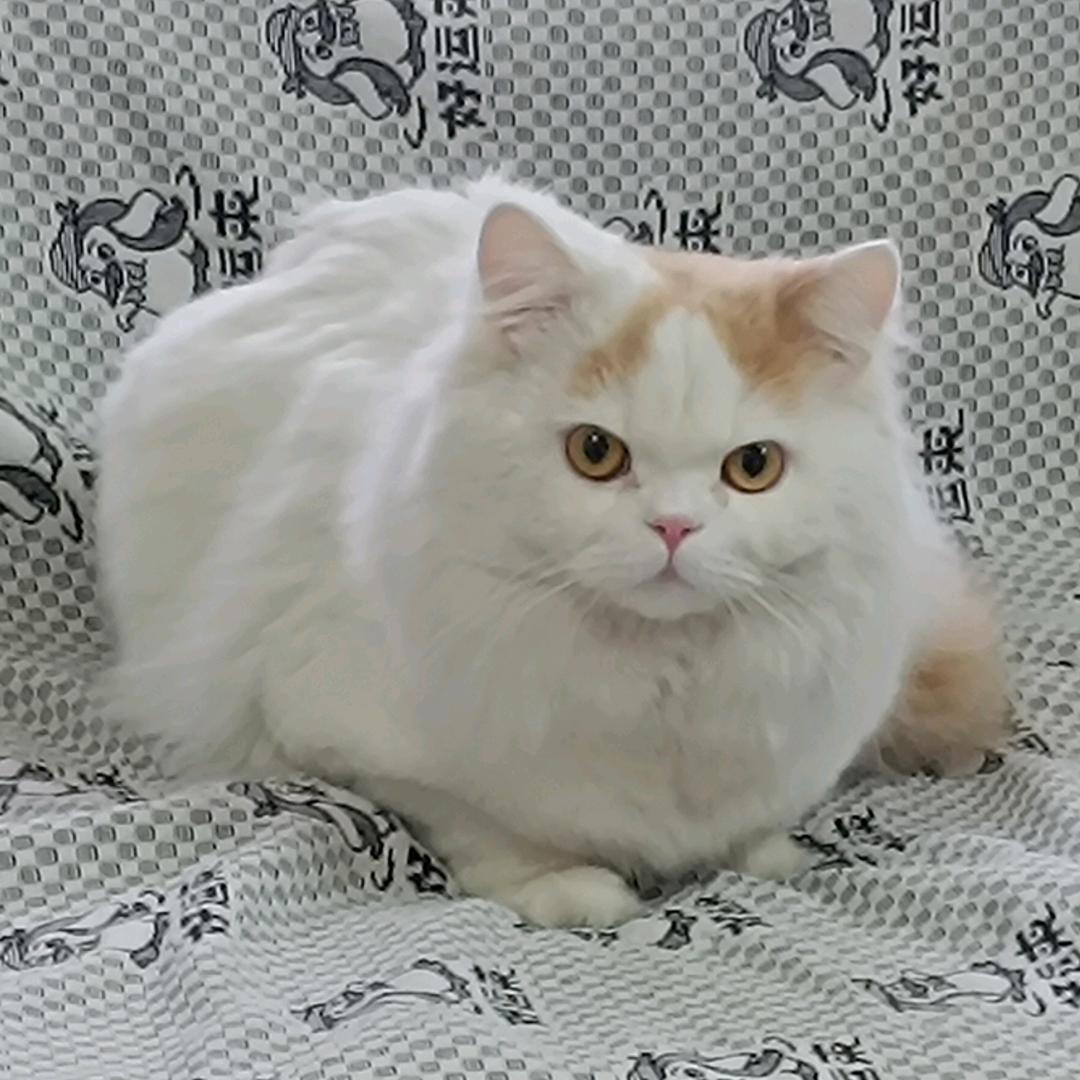 个性在线