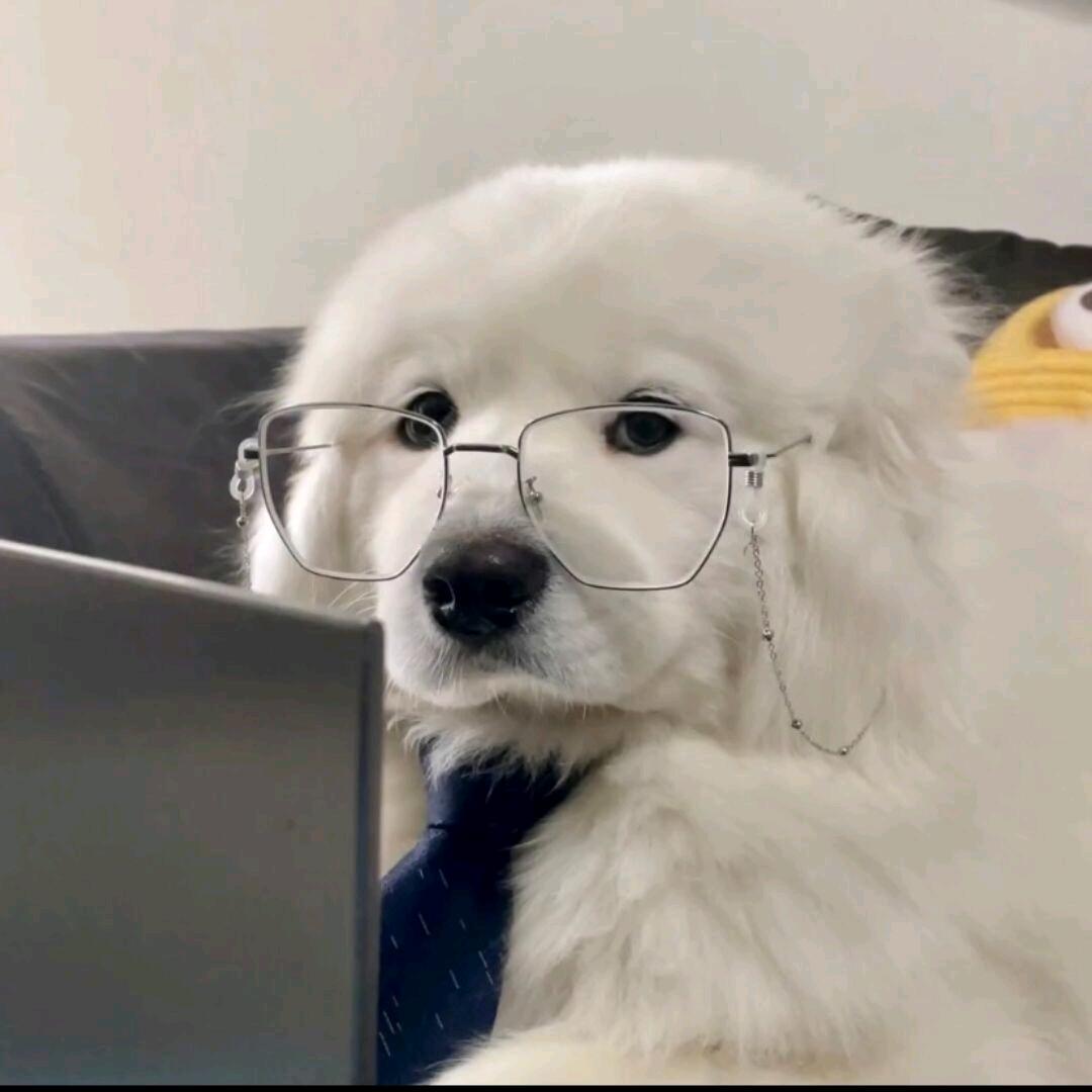 嘉.教授