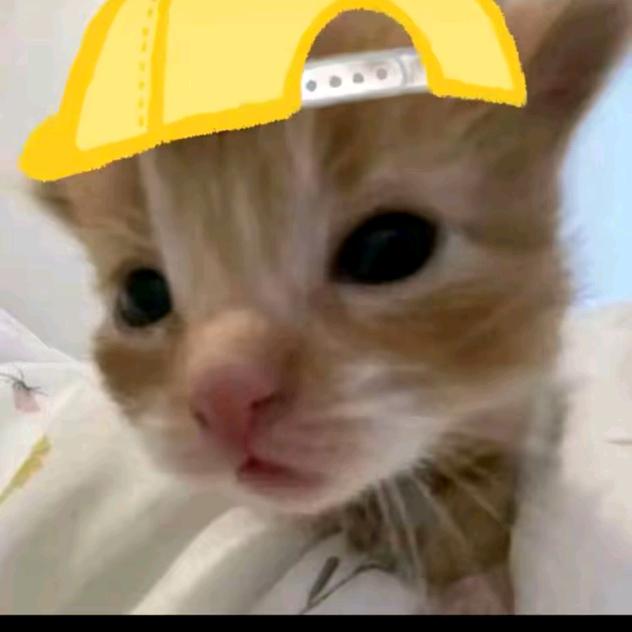 kgg