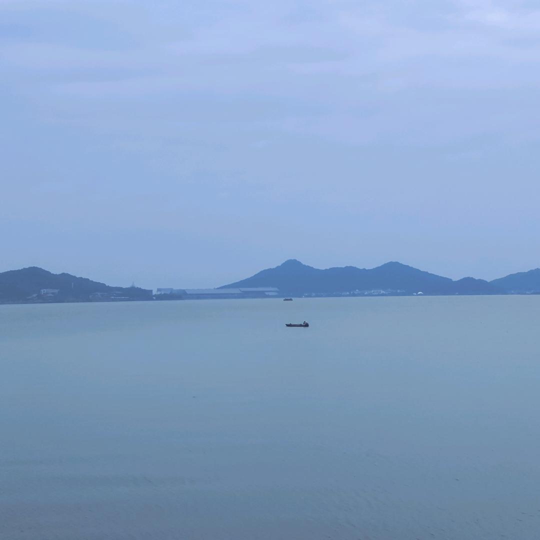 掰特哥