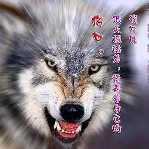 战狼
