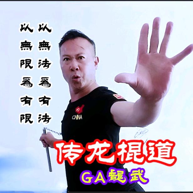 GA龍武