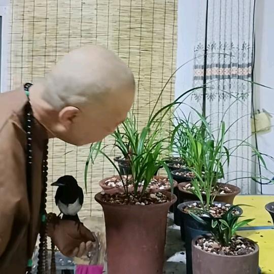 大城刮腻子陈工