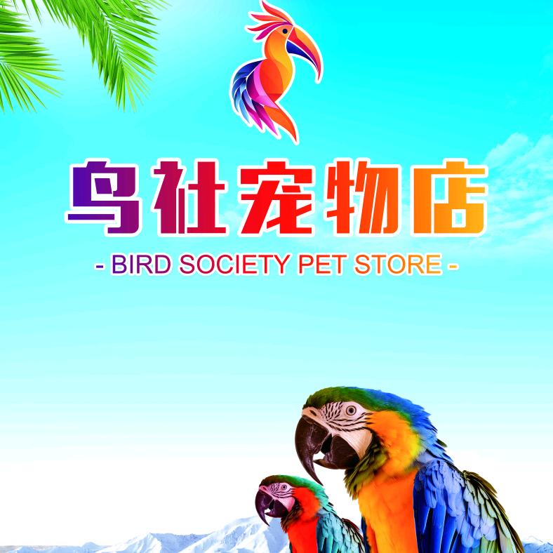 韩咕咕的鸟窝