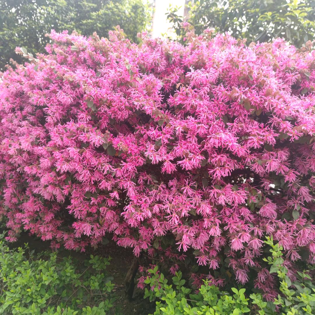 《幸福靠自己》