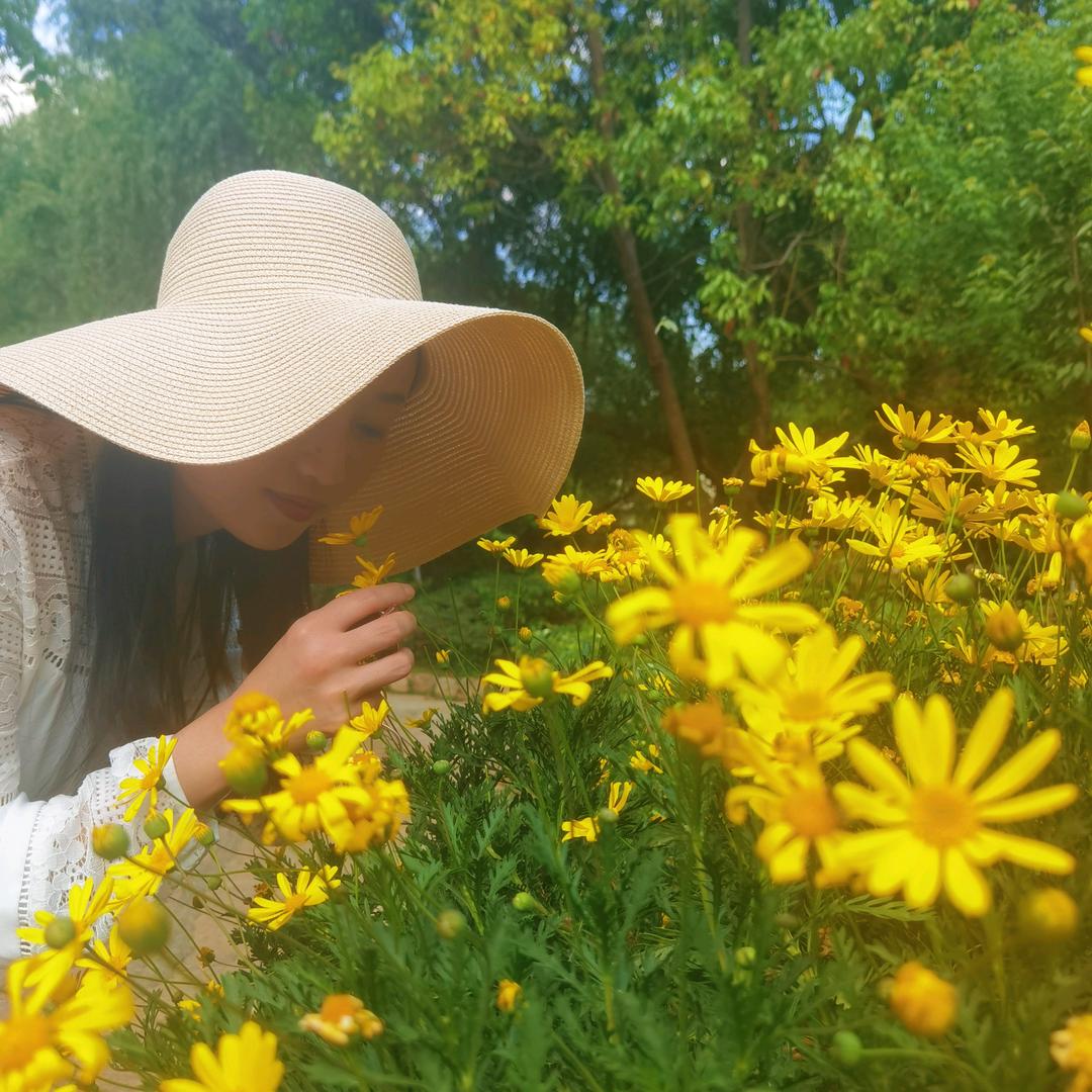云杉不知处🍃