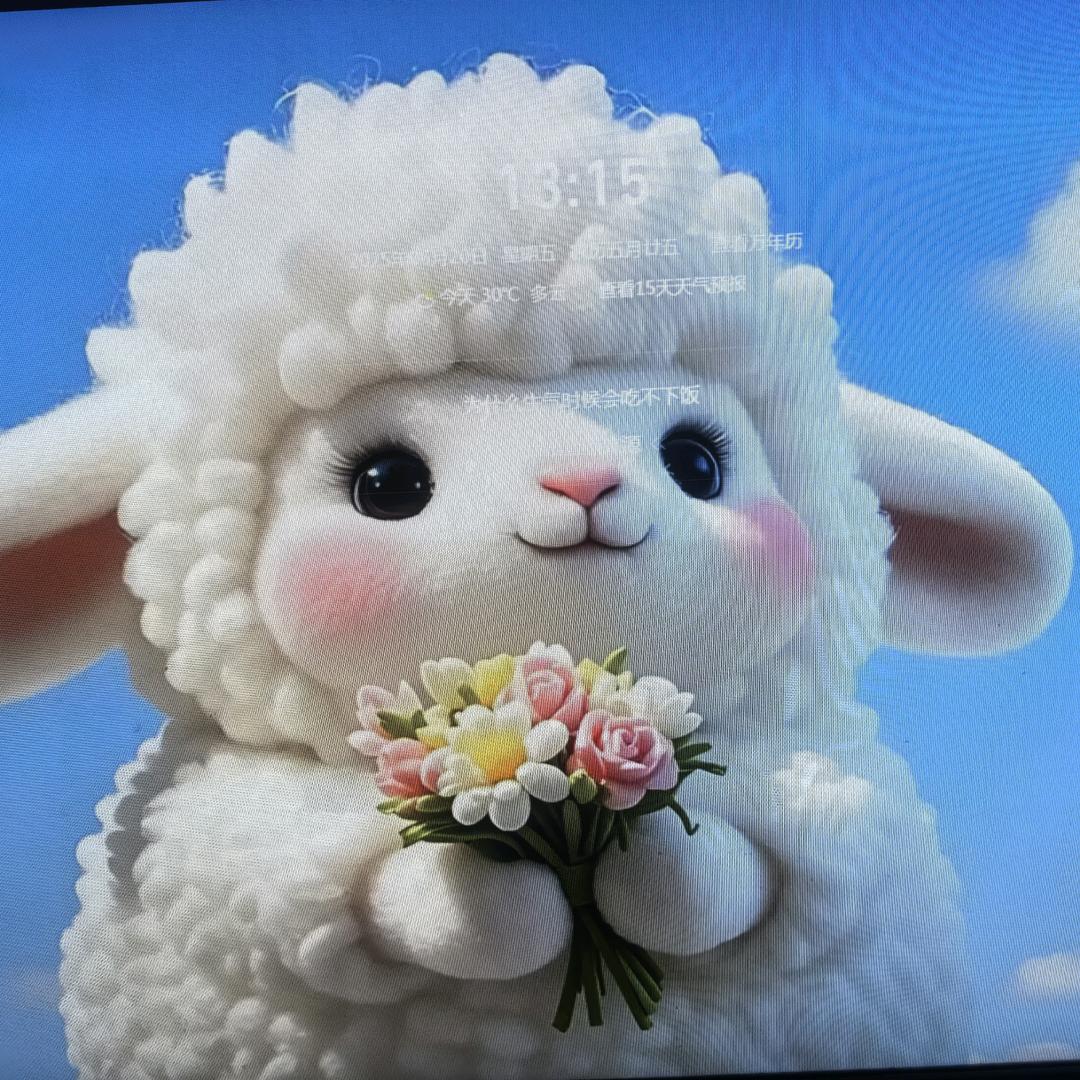 💕张小舞💕