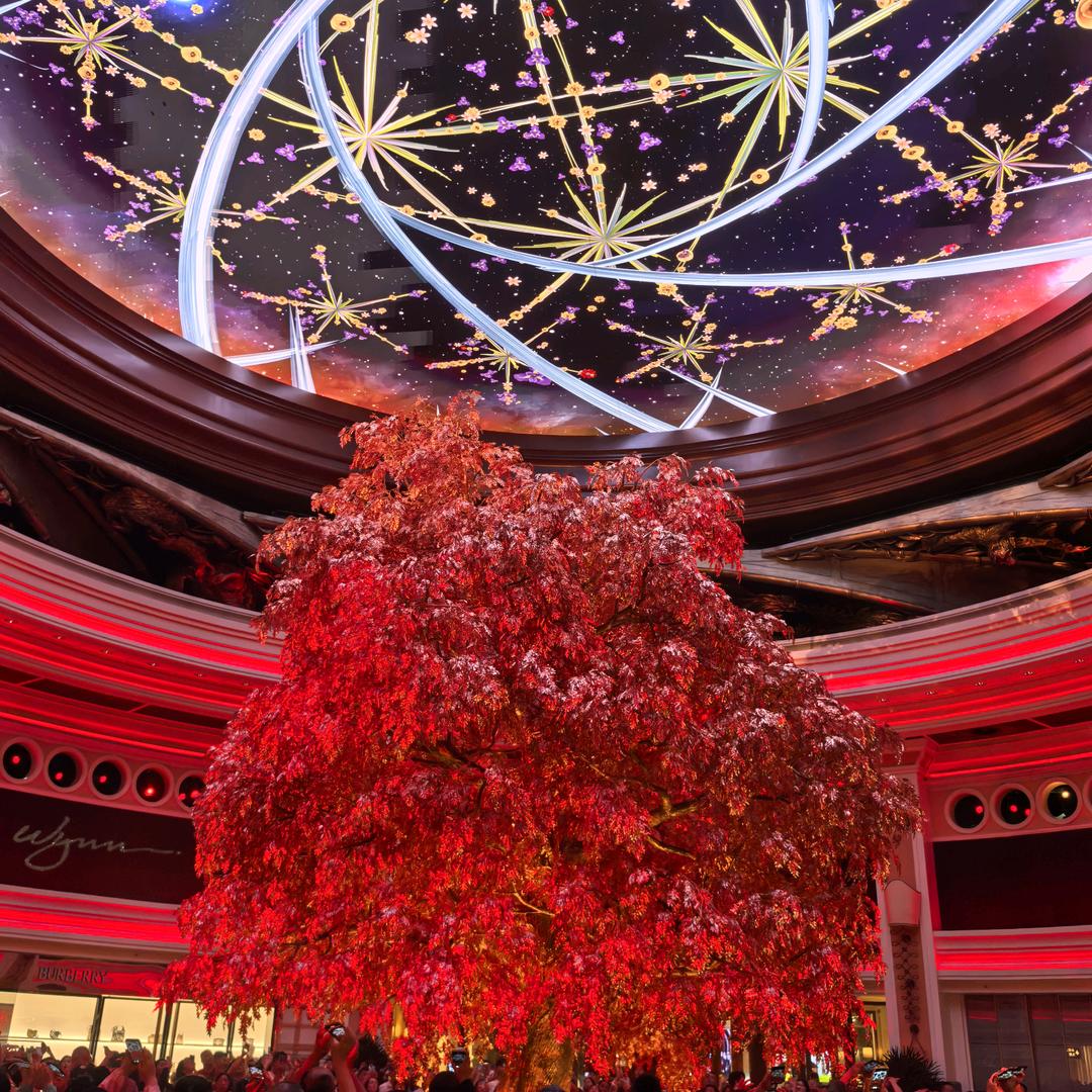 ♦️👀🔮👉木木木👪♦️