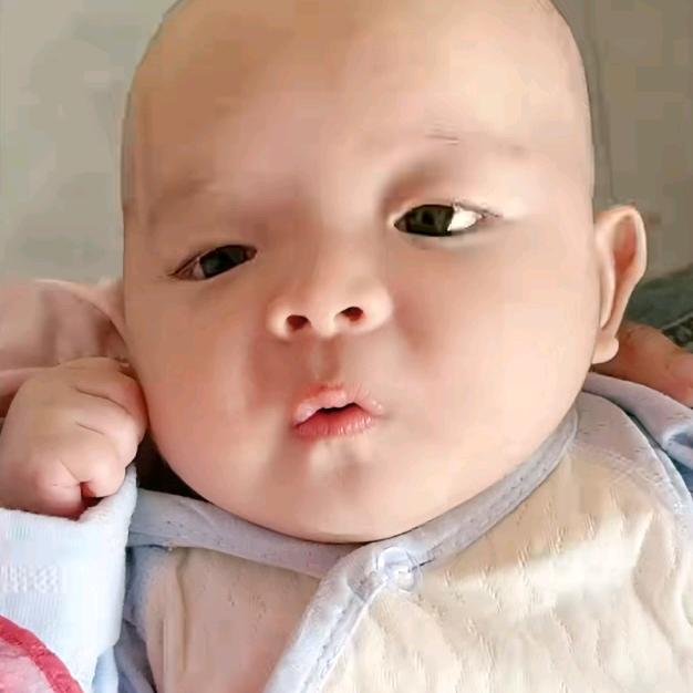橙橙baby