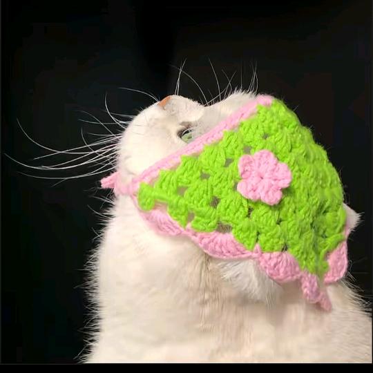 扎马步吃麻辣烫