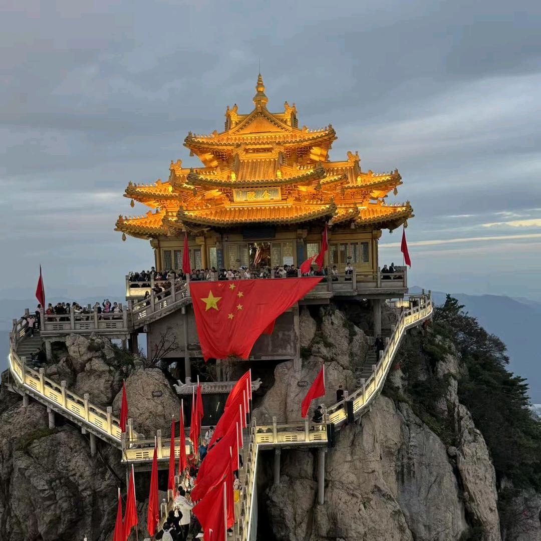 上党区亮洁家政🇨🇳《蚂蚁哥》