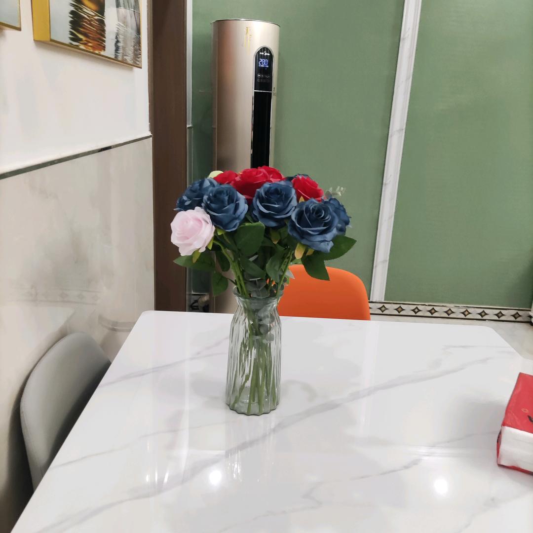 术芝