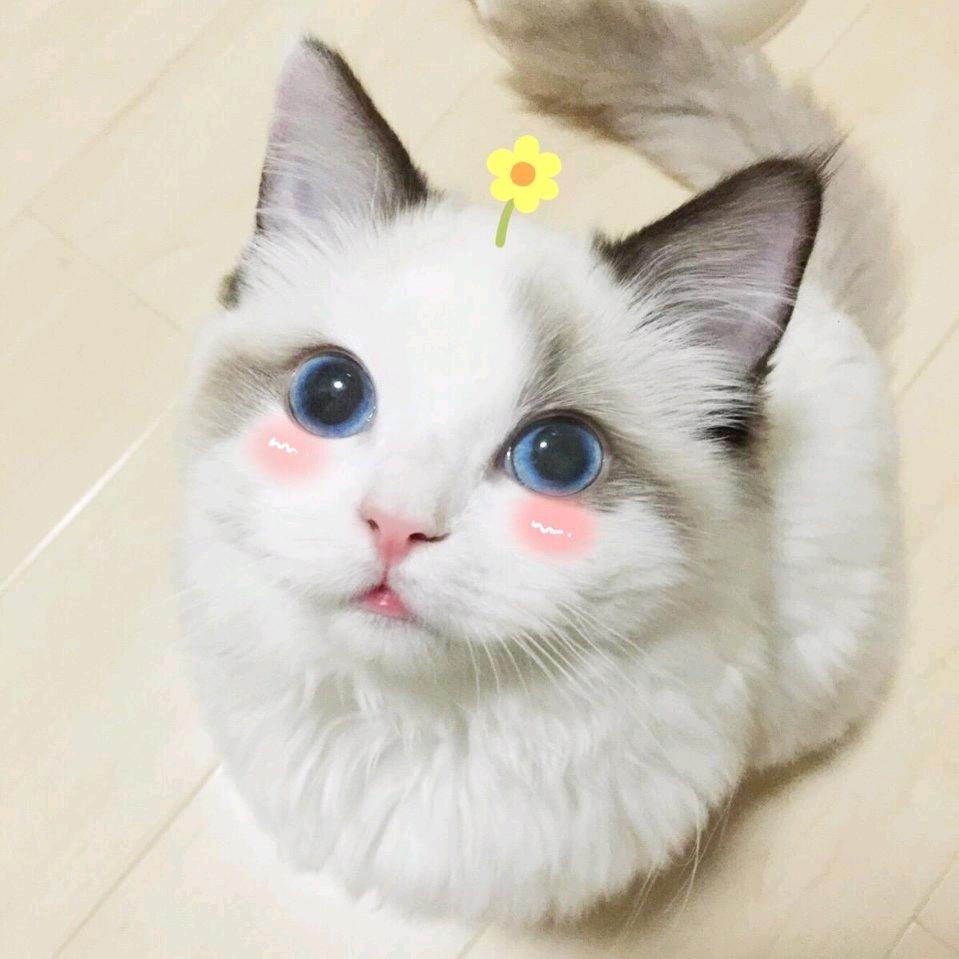 阿尔萨斯