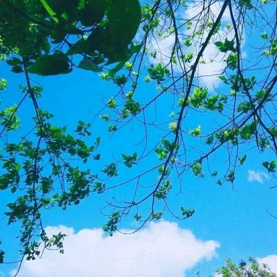 沈老师生涯规划（九石）