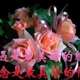 展翅飞翔