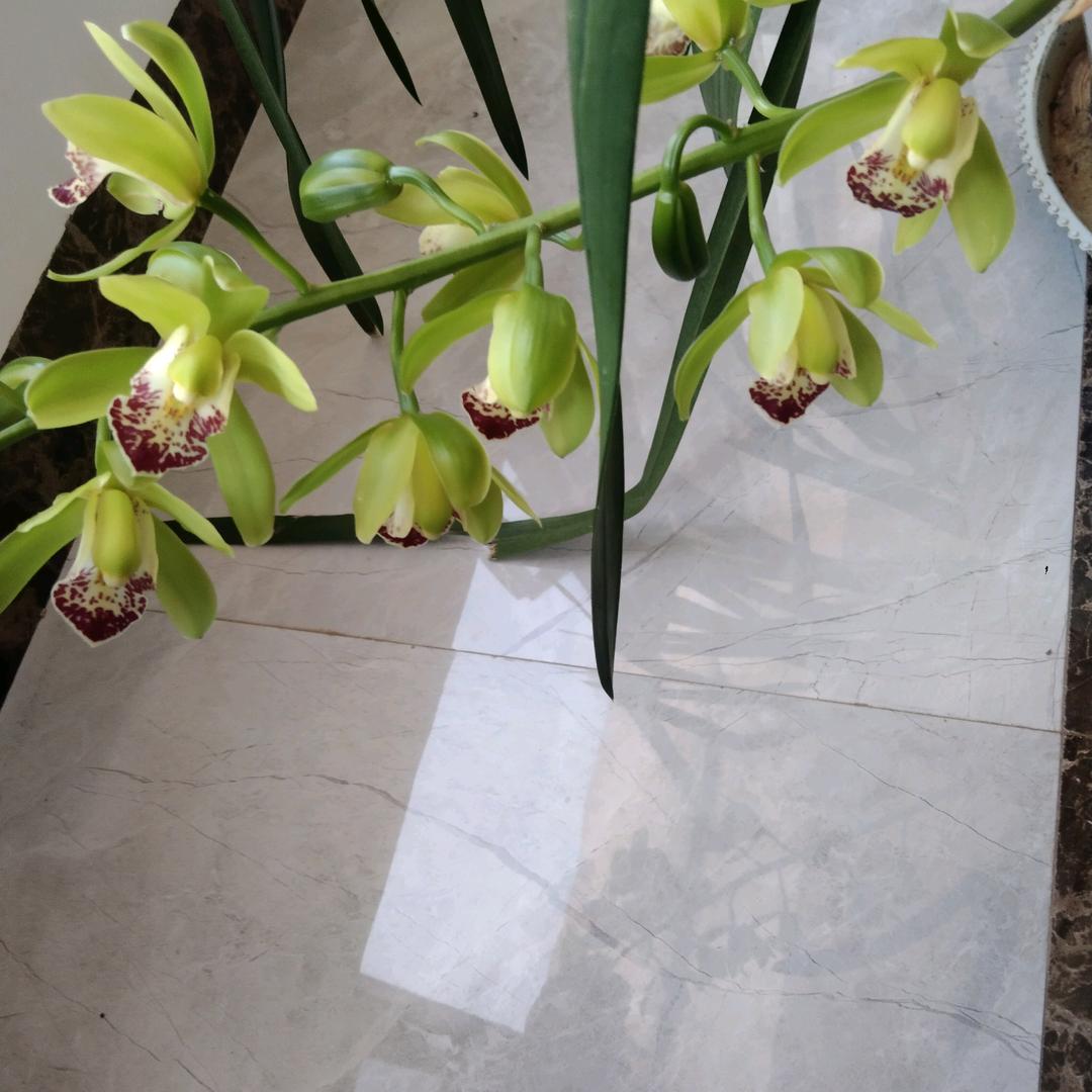 失败的人生……