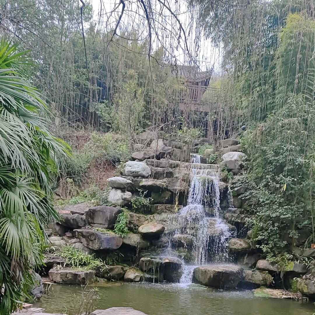 张家姐姐（岁月静好）