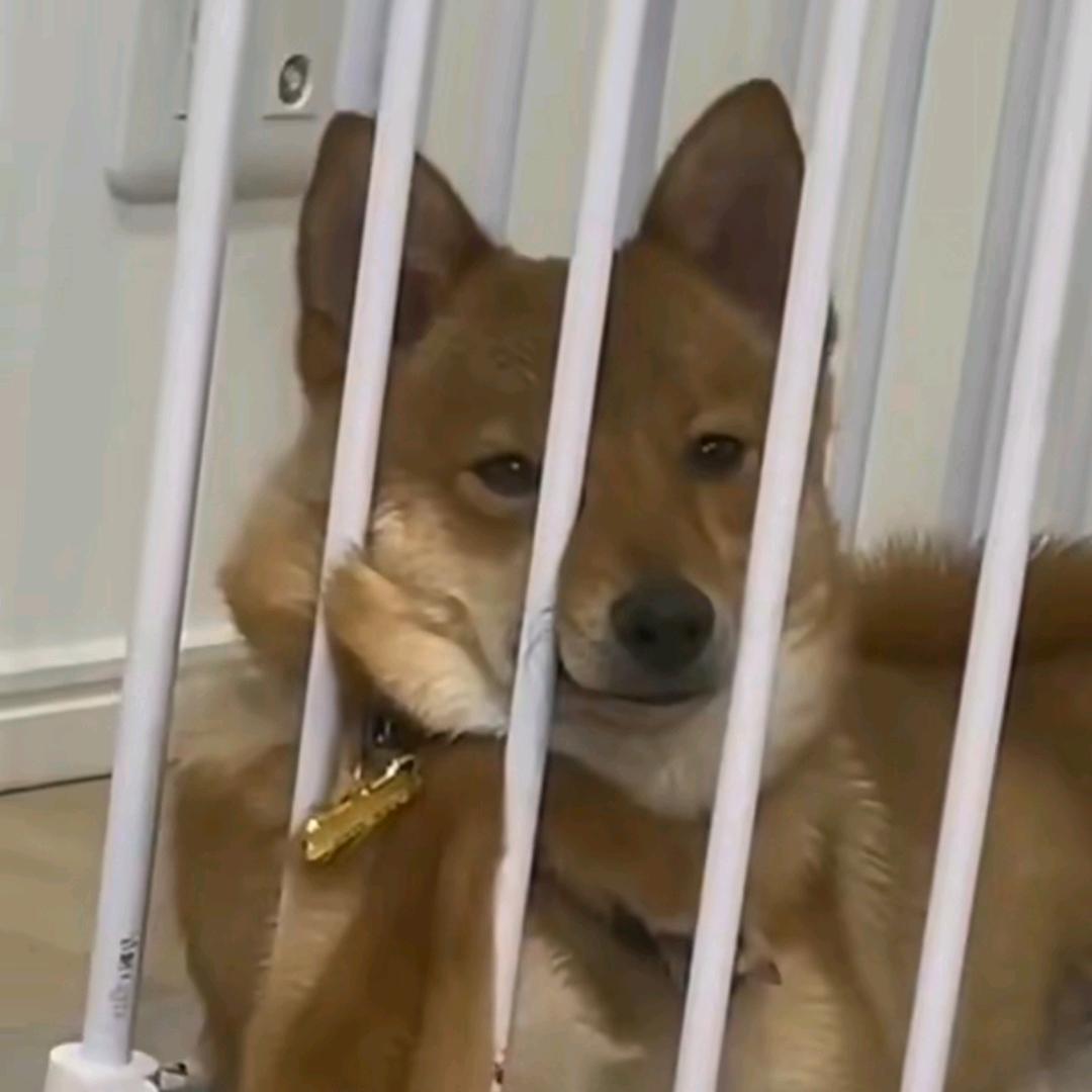 你也为哥着迷吧
