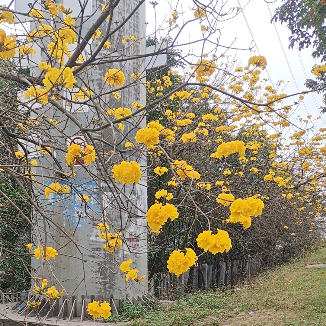 明天你好