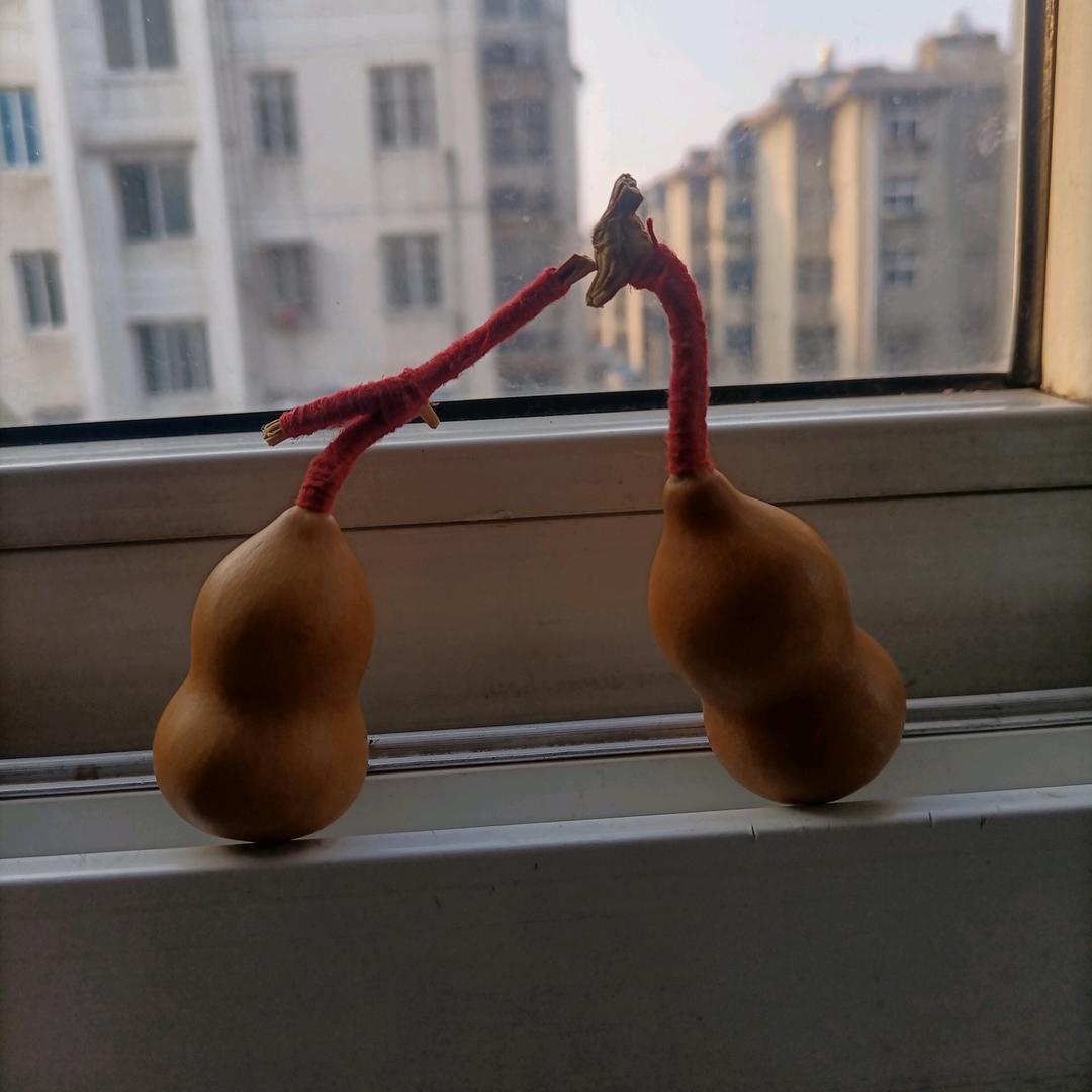 左哥