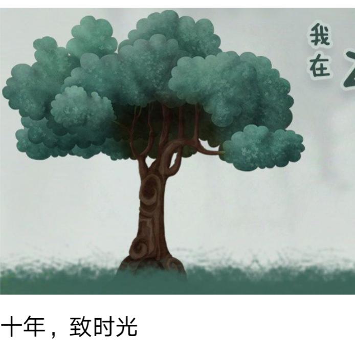 彭城雪精品优选