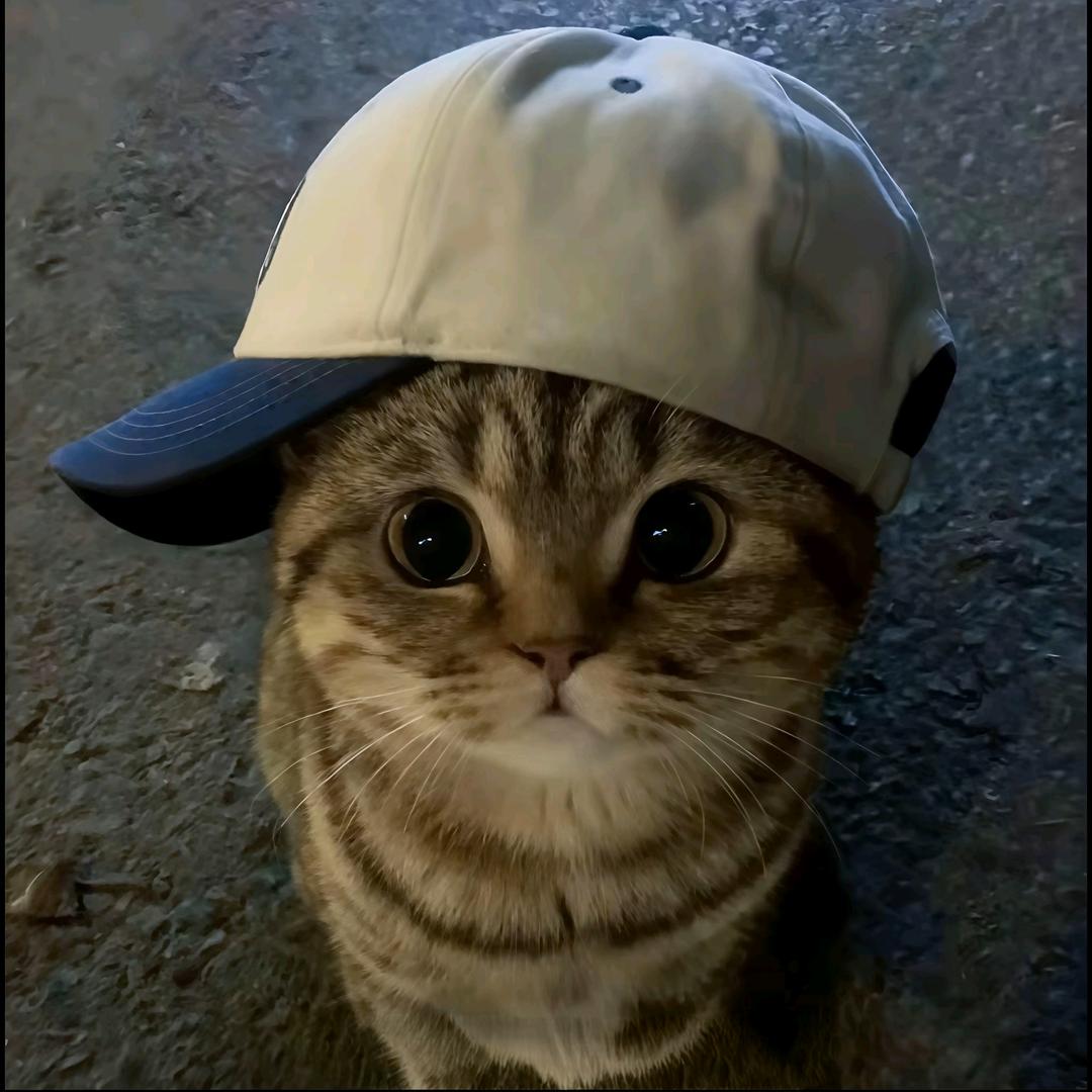 헤헤•︡ᯅ•︠