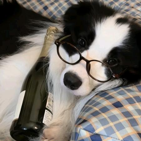 忧郁(和平精英)