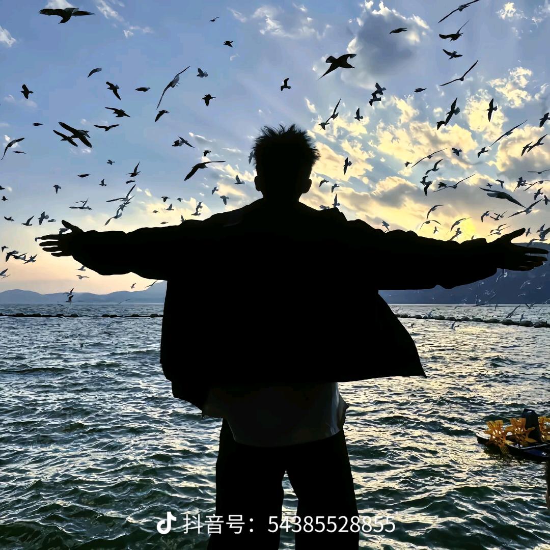 木羽