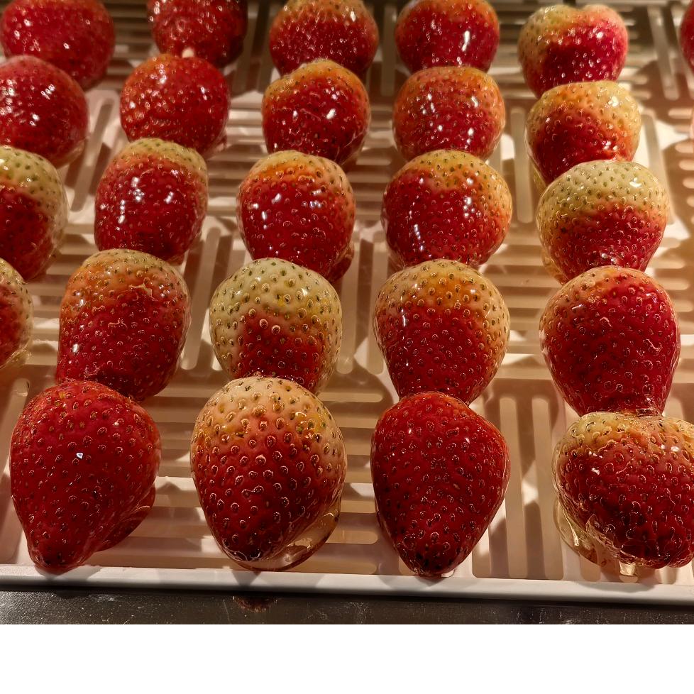 （二胖）老北京冰糖葫芦抖音号