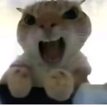 行测一定要考80分🇨🇳