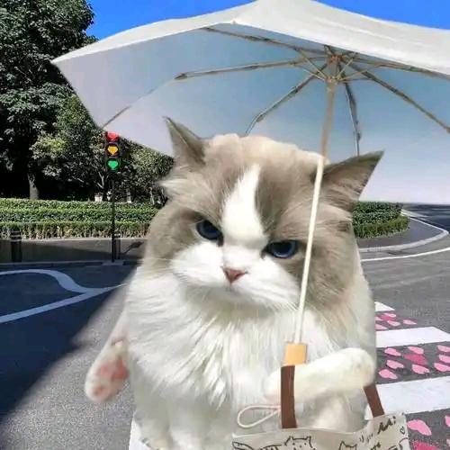 天命哥哥（心里咨询师）