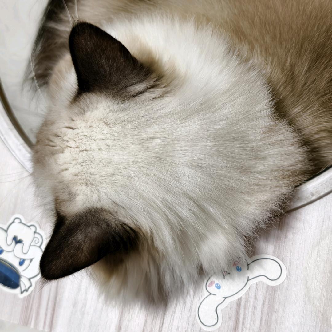 互联网赶集人🇨🇳