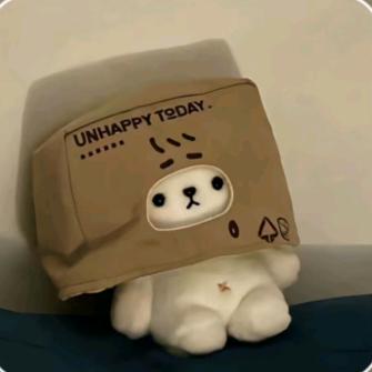 爱玩游戏的六六