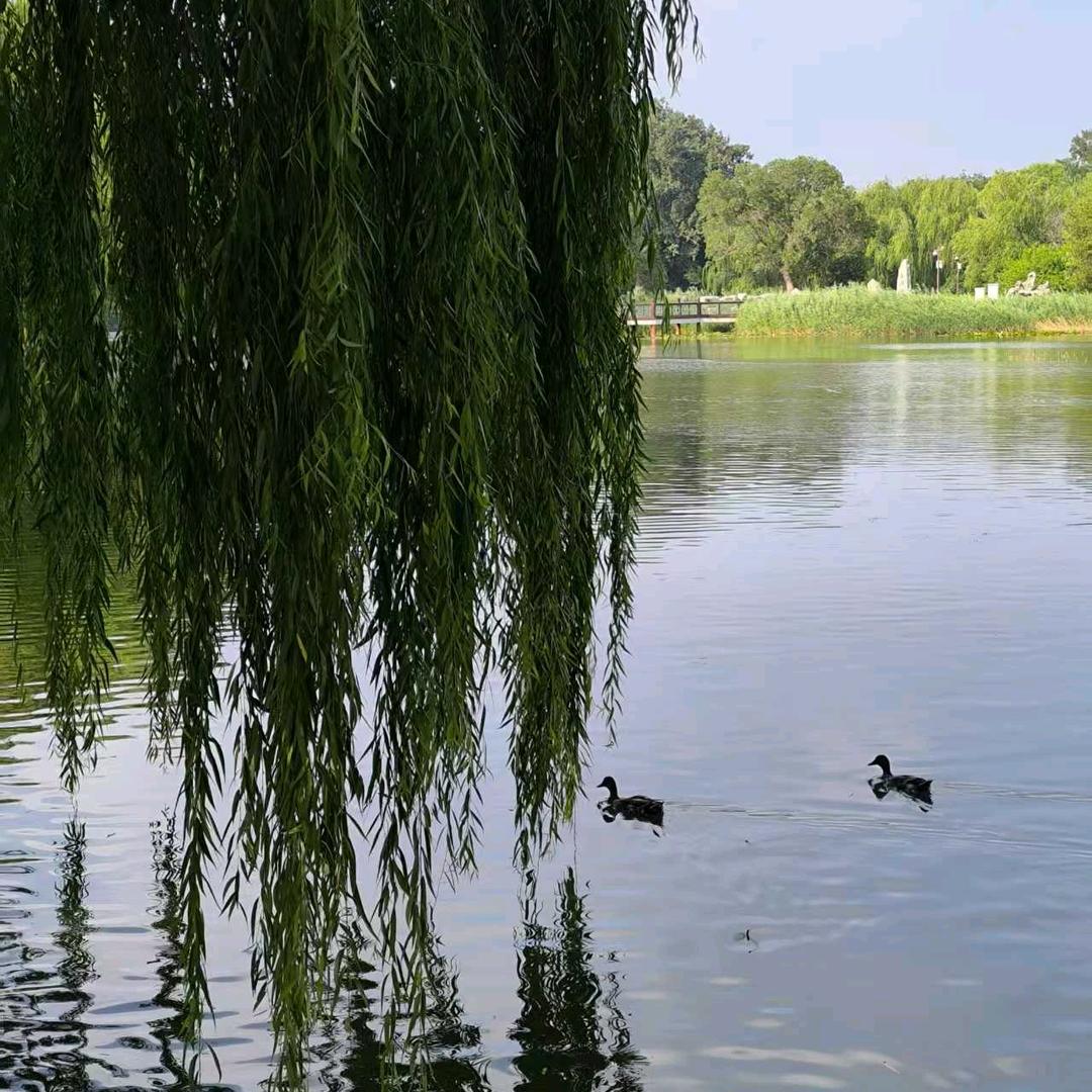 💖ღ杨杨᭄得ღ亿᭄ꦿ꯭💖