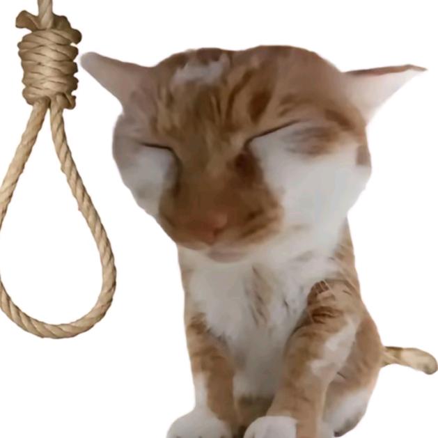 柚子ʕ̯•͡˔•̯᷅ʔᐝ