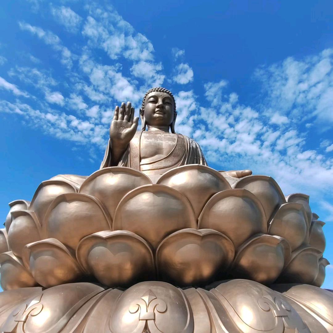 善心善念结善缘