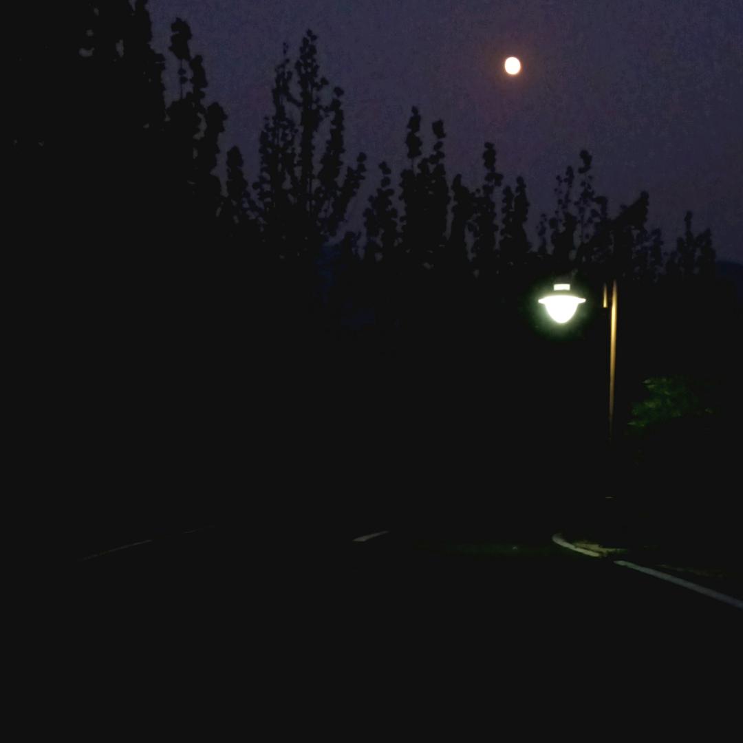 我的名字我最长