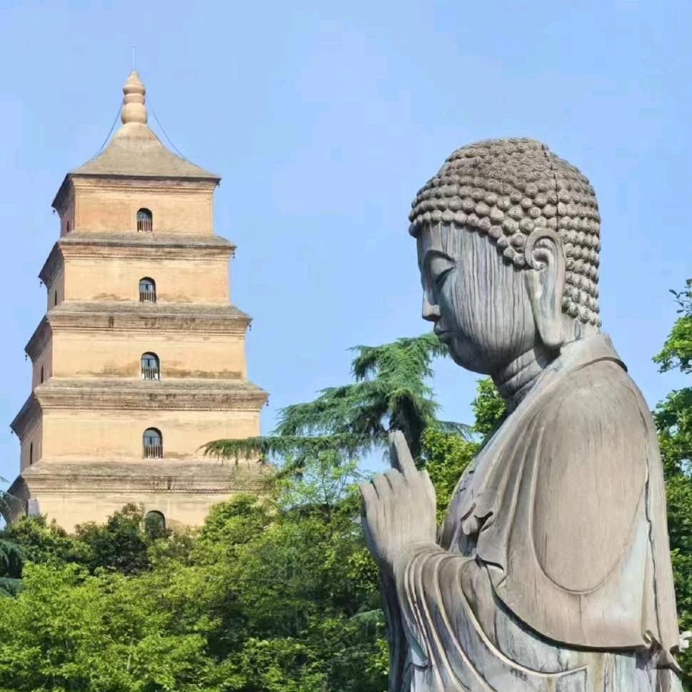 职业教育本科
