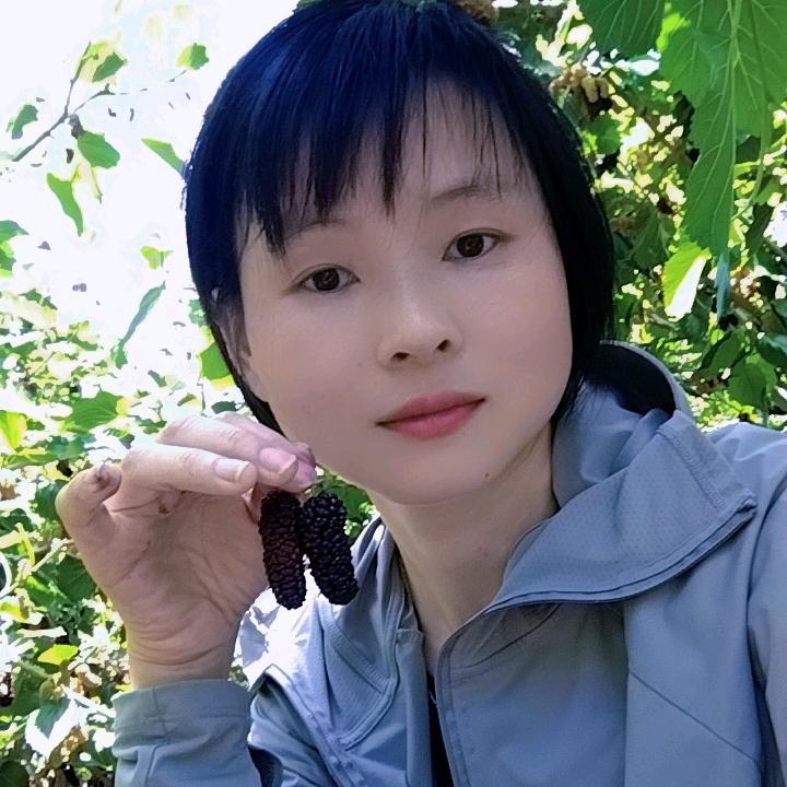 世间过客