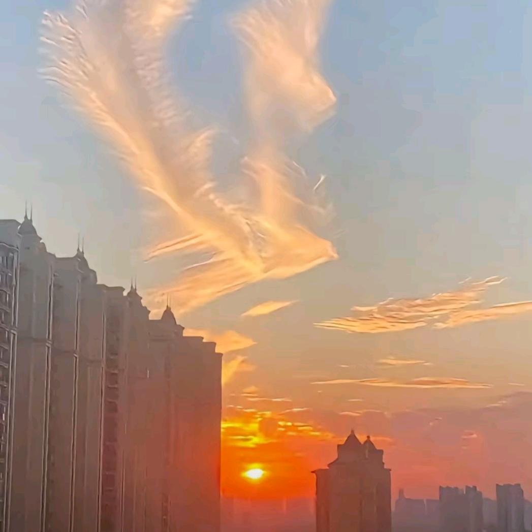尘封的心