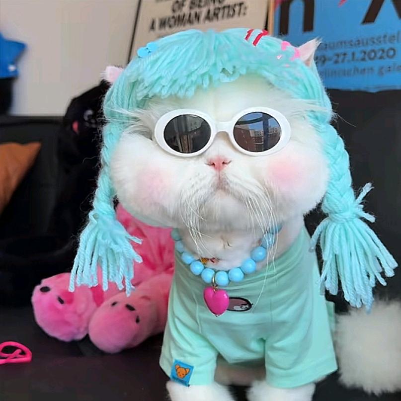懒猫🐱大人⁵²⁷⁷