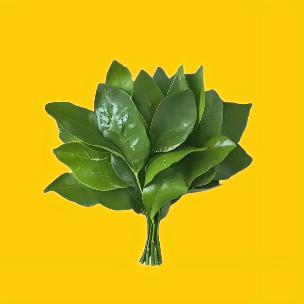菲菲大王