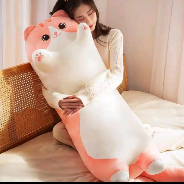 不晚